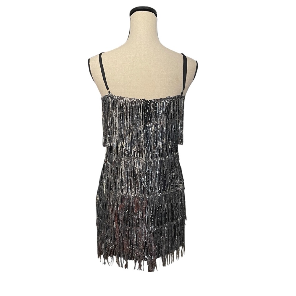 Day + Moon‎ Silver Sequin Layer Fringe Flapper Costume Party Dress Women's Small - Picture 4 of 15